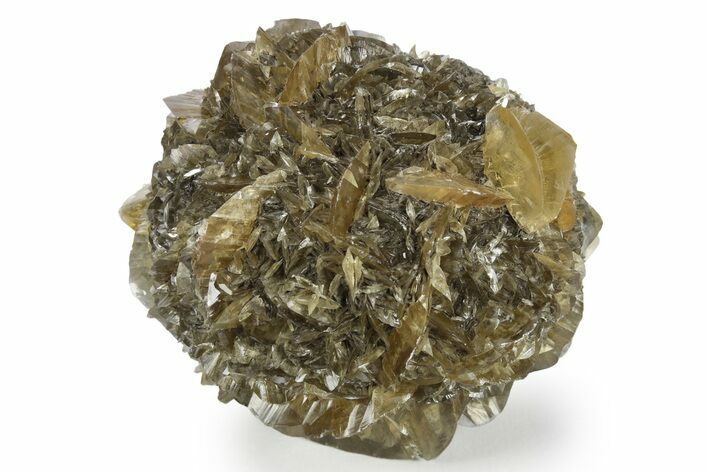 Twinned Selenite Crystals (Fluorescent) - Red River Floodway #154408